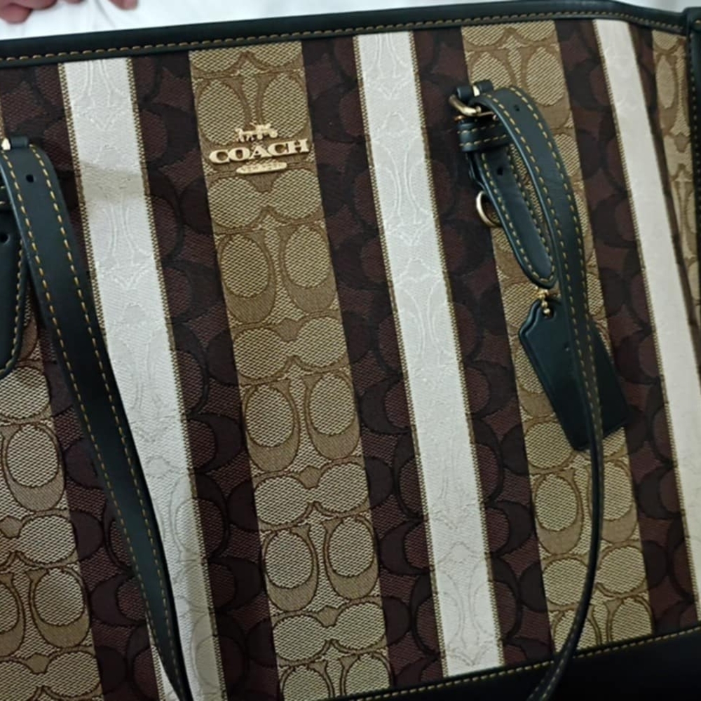 Coach Brown and Tan Striped Women's Bag